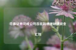 华泰证券完成公司首批跨境理财通资金汇划