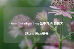 Shoals Technologies Group盘中异动 股价大跌5.04%报4.90美元