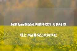 特斯拉薪酬案裁决维持原判 分析师预期上诉至最高法院将获胜