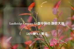 Landbridge Company Llc盘中异动 股价大涨5.02%报76.47美元