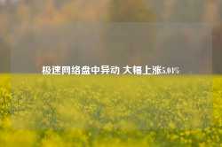 极速网络盘中异动 大幅上涨5.04%