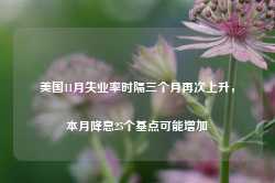 美国11月失业率时隔三个月再次上升，本月降息25个基点可能增加