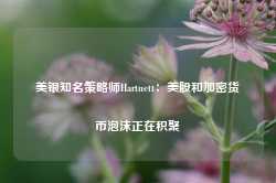 美银知名策略师Hartnett：美股和加密货币泡沫正在积聚