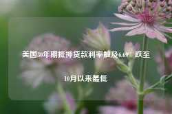 美国30年期抵押贷款利率触及6.69% 跌至10月以来最低