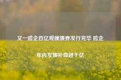 又一险企百亿规模债券发行完毕 险企年内发债补血超千亿