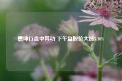 震坤行盘中异动 下午盘股价大涨5.10%