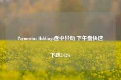 Paymentus Holdings盘中异动 下午盘快速下跌5.03%