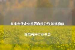 多家光伏企业签署自律公约 加速构建规范有序行业生态