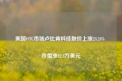 美国OTC市场卢比肯科技股价上涨23.24% 市值涨12.3万美元