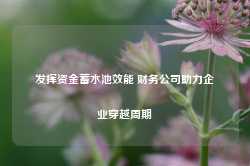 发挥资金蓄水池效能 财务公司助力企业穿越周期