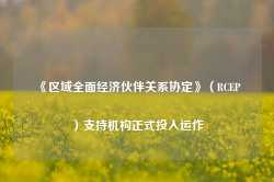 《区域全面经济伙伴关系协定》（RCEP）支持机构正式投入运作