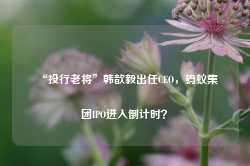 “投行老将”韩歆毅出任CEO，蚂蚁集团IPO进入倒计时？