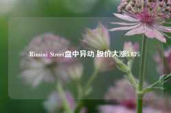 Rimini Street盘中异动 股价大涨5.03%