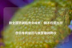 叙全国协调委员会成员：叙不应退出符合自身利益的与俄罗斯间协议