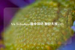 Syla Technologies盘中异动 股价大涨5.12%