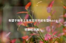 有望于明年上半年交付平价车型Model Q 特斯拉涨超3%