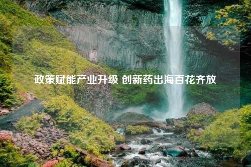 政策赋能产业升级 创新药出海百花齐放