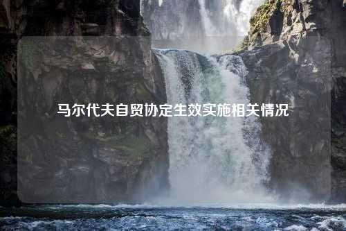 马尔代夫自贸协定生效实施相关情况