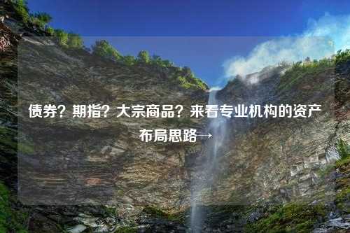 债券？期指？大宗商品？来看专业机构的资产布局思路→