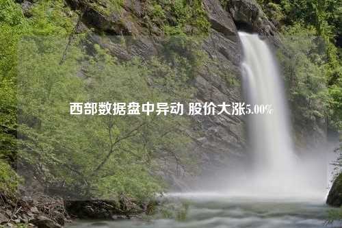 西部数据盘中异动 股价大涨5.00%