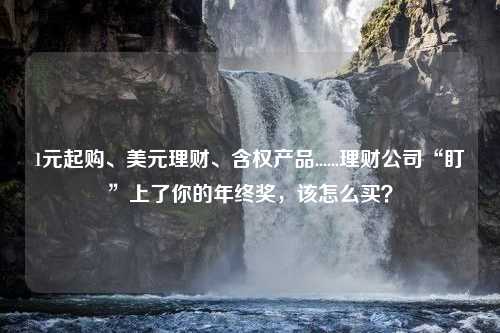 1元起购、美元理财、含权产品......理财公司“盯”上了你的年终奖，该怎么买？