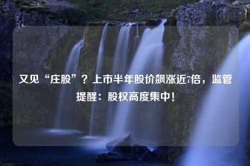 又见“庄股”？上市半年股价飙涨近7倍，监管提醒：股权高度集中！