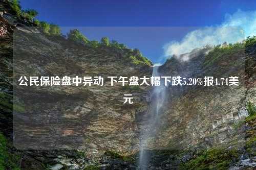 公民保险盘中异动 下午盘大幅下跌5.20%报4.74美元