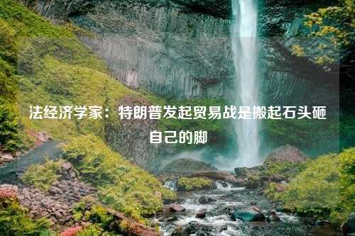 法经济学家：特朗普发起贸易战是搬起石头砸自己的脚