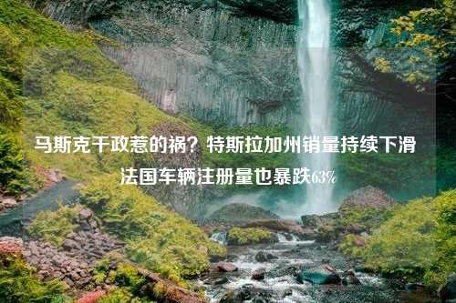 马斯克干政惹的祸？特斯拉加州销量持续下滑 法国车辆注册量也暴跌63%